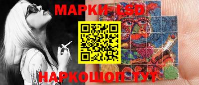Альфа ПВП Можга