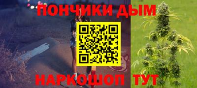 Альфа ПВП Можга