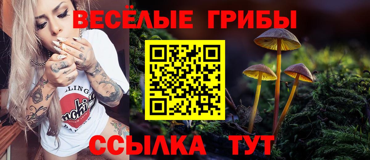 Псилоцибиновые грибы Cubensis  Вход с VPN  Стрежевой  Галлюциногенные грибы мицелий 