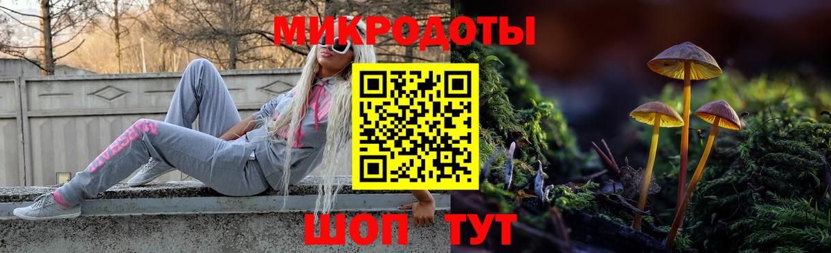 Псилоцибиновые грибы Psilocybe Стрежевой