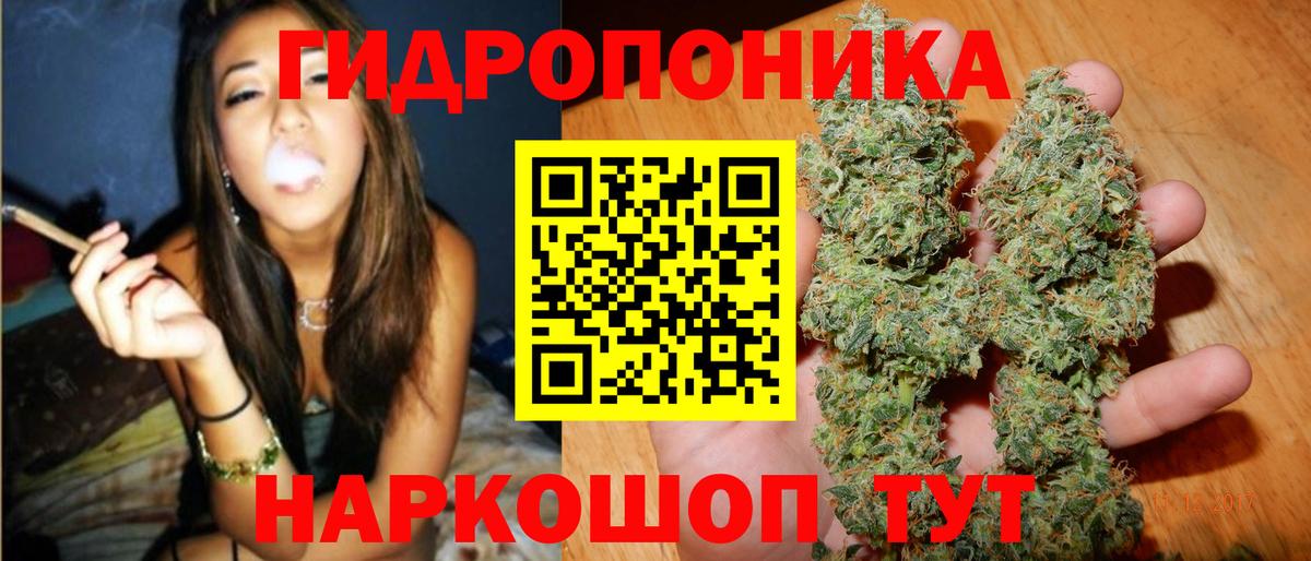 Шишки марихуана OG Kush  Шишки марихуана планчик  Вход с VPN  Канабис Amnesia  Стрежевой  Каннабис гибрид 